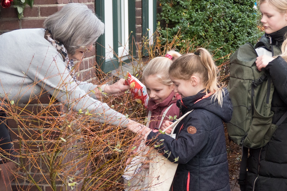 Fotoalbum: Nieuwjaar 2023