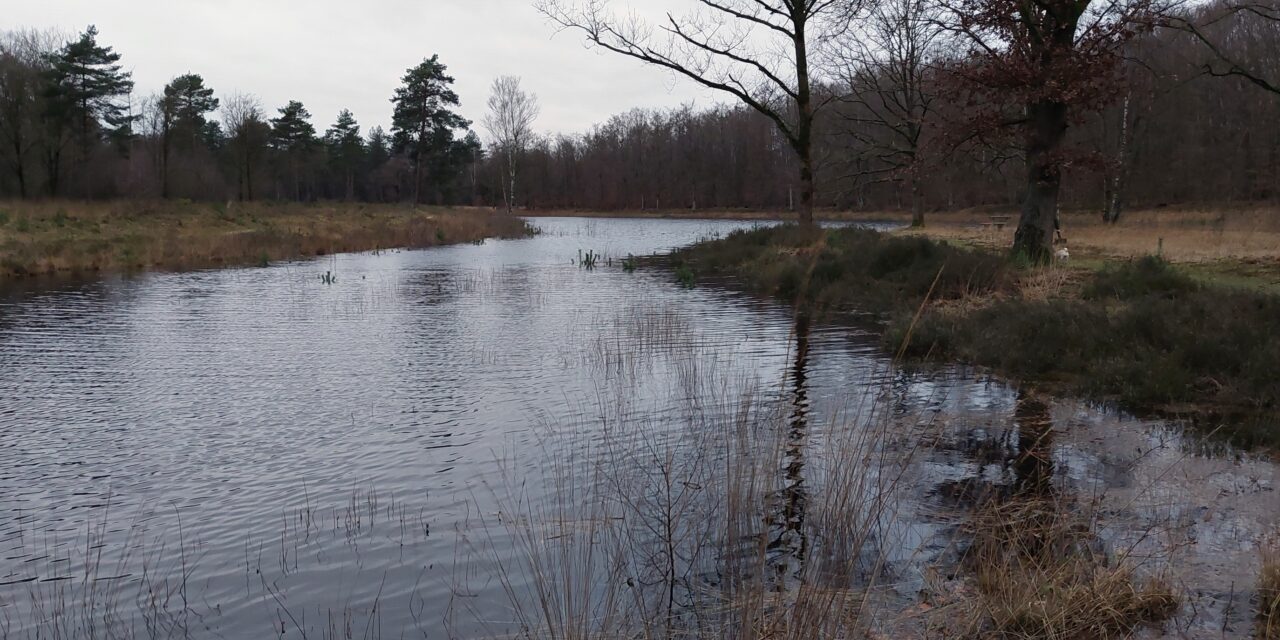 Droge Esven nu een flinke plas