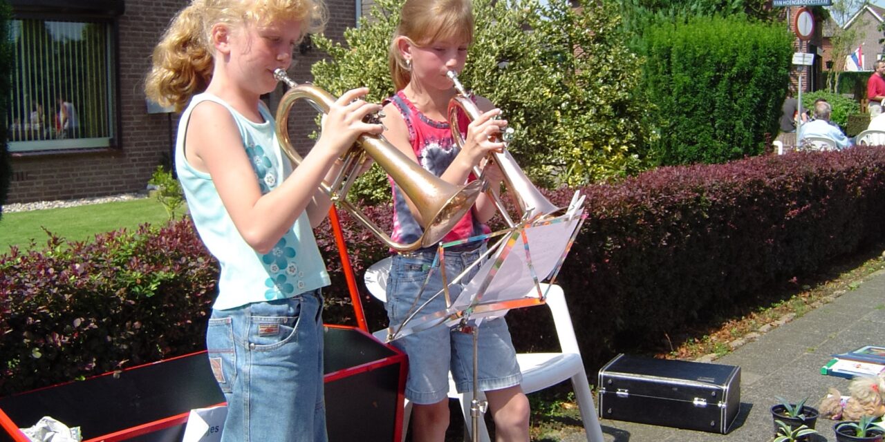Fotoalbum: Zomerfeesten 2004 (kindermarkt, braderie, kermis)