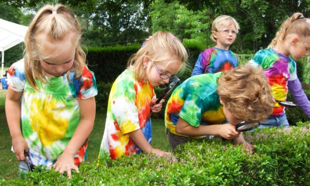 Fotoalbum: Onderbouwdag 2013 Diekske (Regenboogland)