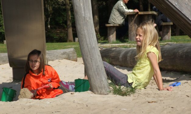 Fotoalbum: Speeltuin Ceresweg, Bergen (Diekske, groep 5)