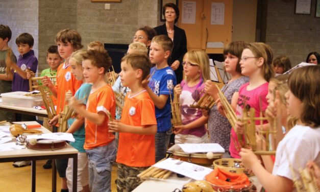Fotoalbum: Workshop muziek met studieorkest (Diekske)