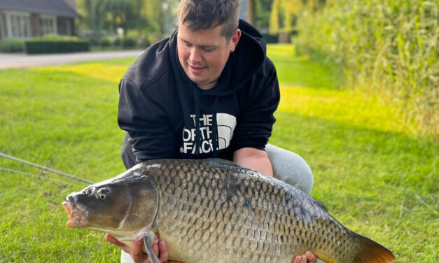 Ingezonden: Mooie karpers in visvijver van Afferden