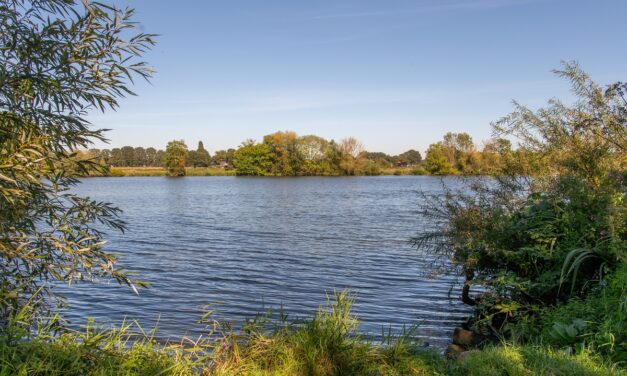 Definitief plan ter inzage voor herstel riviernatuur