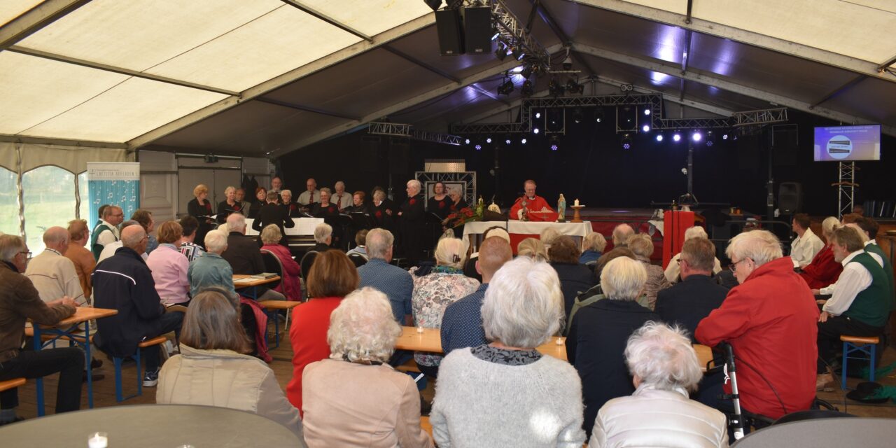 Discolampen verlichten Offerse kermismis