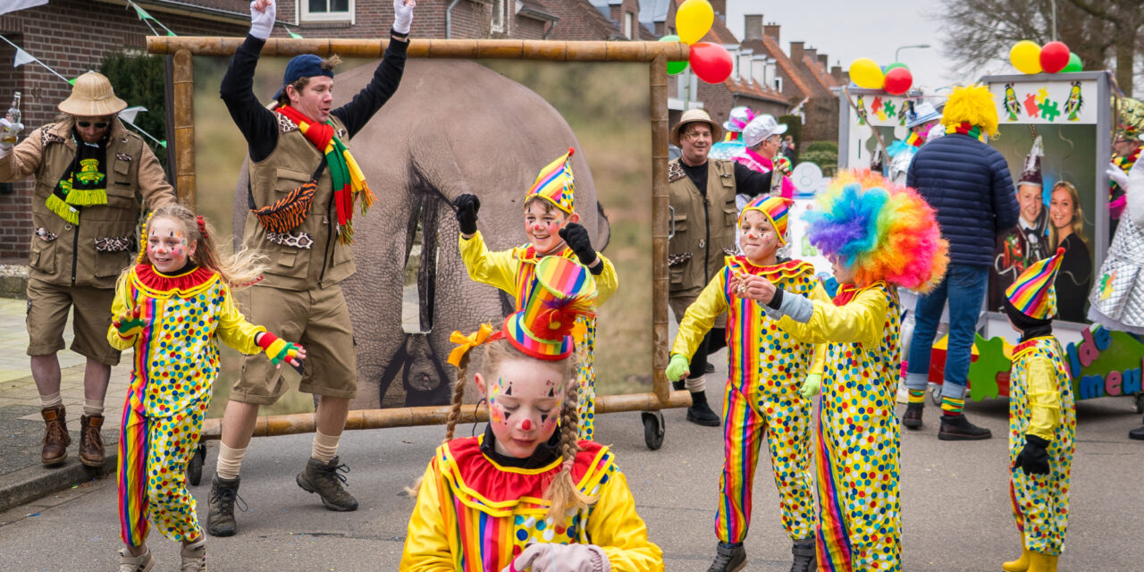 Fotoalbum: Carnavalsoptocht 2026
