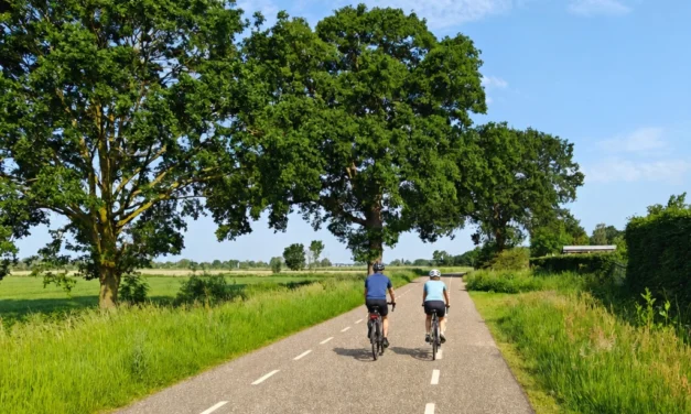 Snelheidsremmende maatregelen gewenst Heukelomsestraat